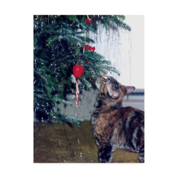 Trademark Fine Art Audrey 'Cat And The Christmas Tree' Canvas Art, 14x19 ALI38702-C1419GG